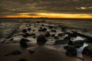 stepping-stones-to-coney-island