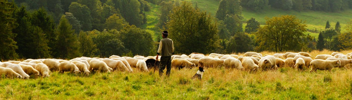 Desperately Dependent